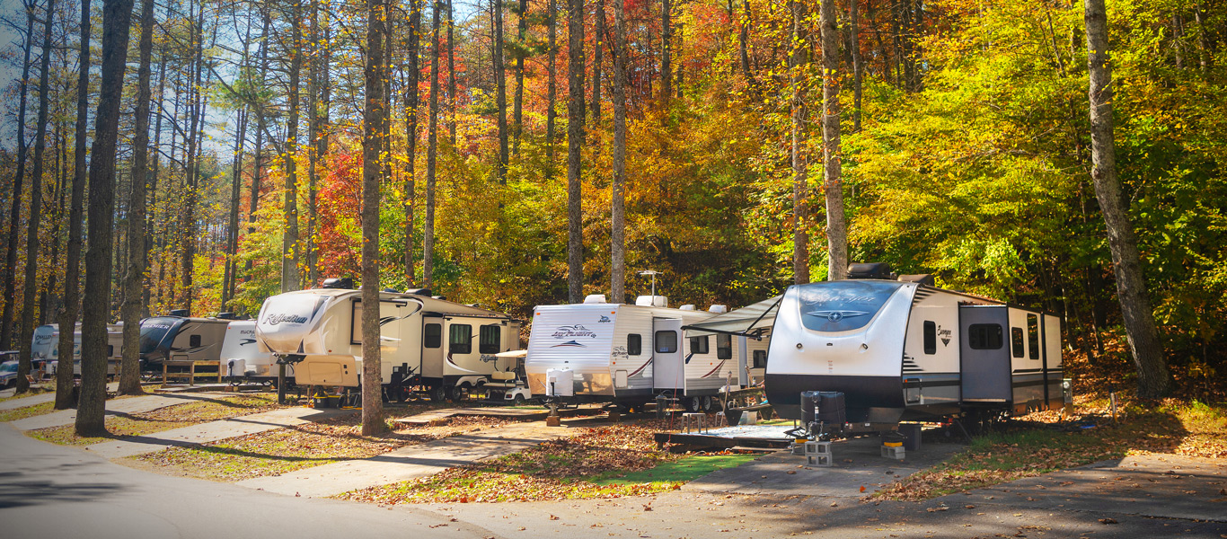 Camping Pass Offer Background