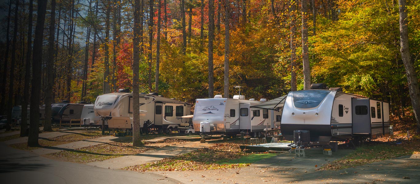 Camping Pass Offer Background